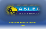 Relazione annuale 2012