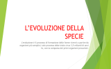 l*evoluzione della specie - Fresa