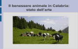 Benessere animale - Ordine dei Medici Veterinari della Provincia di