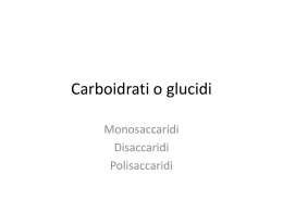 i glucidi