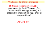 Dispendio Energetico