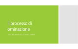 Il processo di ominazione