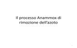 29. Processi innovativi di Rimozione azoto