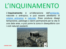 L`inquinamento