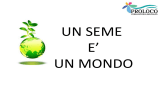 Il seme è un mondo