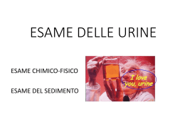 Analisi delle urine