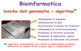 secondary structure prediction