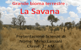 La Savana Presentazione Scienze di :