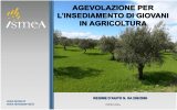 Agevolazioni per l`insediamento di giovani in agricoltura