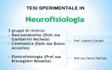 Arg.Tesi sperimentali Fattori_2015