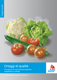 Visualizza il Dossier