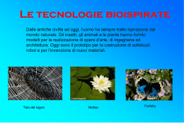 Le tecnologie bioispirate