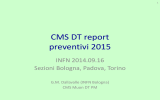 CMS DT report