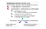 Determinazione cromosomica del sesso