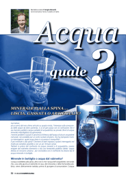 quale? - acqua castello