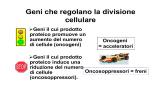 onc 6 - Docenti.unina.it