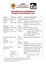 Percorso per l`inserimento adulti in CoCa