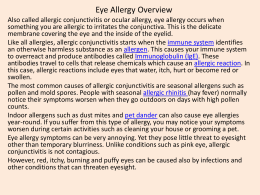 Eye Allergy Overview