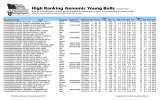 High Ranking Genomic Young Bulls