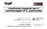 Confronto trappole per il monitoraggio di C. pomonella