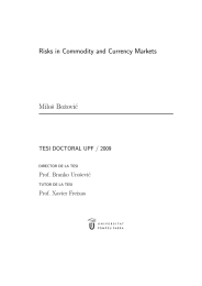 Risks in Commodity and Currency Markets Miloˇs Boˇzovi´c Prof. Branko Uroˇsevi´c