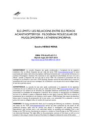 ELS LÍMITS I LES RELACIONS ENTRE ELS PEIXOS MUGILOMORPHA I ATHERINOMORPHA