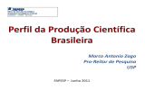 Perfil da Produção Científica Brasileira Marco Antonio Zago Pro-Reitor de Pesquisa