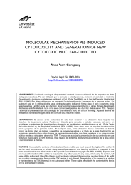 MOLECULAR MECHANISM OF PE5-INDUCED CYTOTOXICITY AND GENERATION OF NEW CYTOTOXIC NUCLEAR-DIRECTED