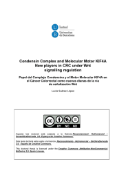 Condensin Complex and Molecular Motor KIF4A signalling regulation