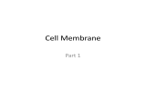 Cell Membrane Part 1