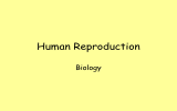 Human Reproduction Biology