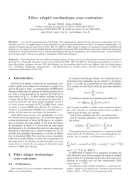 Filtre adapté stochastique sous contrainte