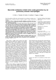 Macrolide antibiotics inhibit nitric oxide generation by rat pulmonary alveolar macrophages