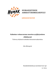 OPINN&Auml;YTETY&Ouml; Kalastus voimavarana nuorten syrj&auml;ytymisen ehk&auml;isyss&auml; Tulevan yritykseni tuotteiden kiinnostavuuskartoitus