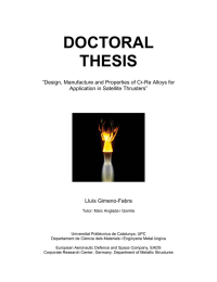 DOCTORAL THESIS