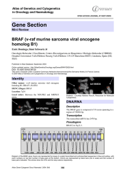 Gene Section BRAF (v-raf murine sarcoma viral oncogene homolog B1)