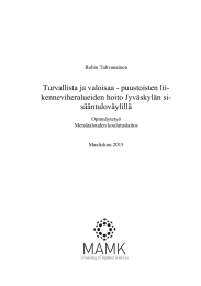 Turvallista ja valoisaa - puustoisten lii- kenneviheralueiden hoito Jyv&auml;skyl&auml;n si- s&auml;&auml;ntulov&auml;ylill&auml;