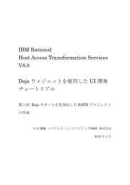 IBM Rational Host Access Transformation Services V8.0