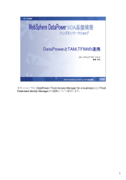 DataPower TAM,TFIM と の連携