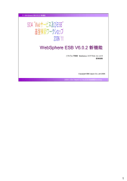 新機能 WebSphere ESB V6.0.2 1 ソフトウェア事業