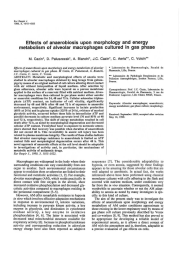 Effects  of anaerobiosis  upon  morphology  and ... metabolism  of alveolar  macrophages  cultured  in ...