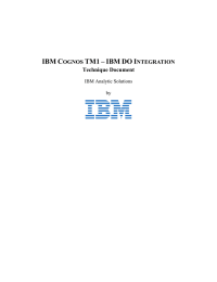 IBM C TM1 –