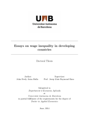 Essays on wage inequality in developing countries Doctoral Thesis