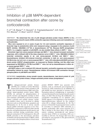 Inhibition of p38 MAPK-dependent bronchial contraction after ozone by corticosteroids