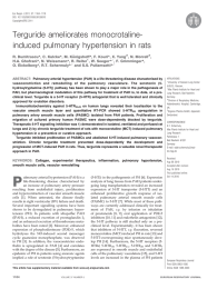 Terguride ameliorates monocrotaline- induced pulmonary hypertension in rats