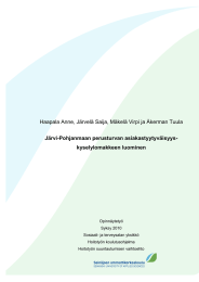 Haapala Anne, Järvelä Saija, Mäkelä Virpi ja Åkerman Tuula  kyselylomakkeen luominen