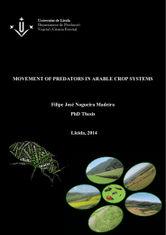 MOVEMENT OF PREDATORS IN ARABLE CROP SYSTEMS Filipe José Nogueira Madeira