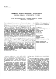 Protective  effect  of  pulmonary  surfactant ... elastase-induced  emphysema  in  mice C.J.M A.A.W.  Ten