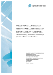 PALJON APUA TARVITSEVAN KEHITYSVAMMAISEN HENKILÖN TOIMINTAKYKYÄ TUKEMASSA TOIMI-menetelmän ja yksilökeskeisen suunnitelmatyön