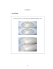 Escherichia coli 69 LAMPIRAN 1